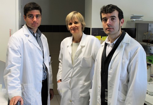 Los investigadores del Instituto de Biotecnología de León (INBIOTEC) y de la Universidad de León (ULE) .