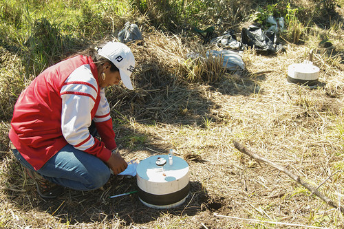 Verónica Ruiz, coautora del estudio basado en Nicaragua, lleva a cabo investigación en pasturas. Crédito: UNAN Managua/Farem Estelí.