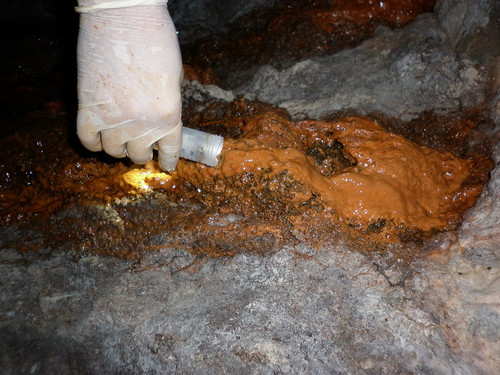 En muestras de agua de la mina de oro El Zancudo se colectaron bacterias acidófilas. Foto: Carlos Barragán Vidal, doctor en Biotecnología de la Facultad de Ciencias de la UNAL.