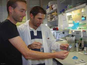 Samuel Seoane y Juan Carlos Montero, en su laboratorio del Centro del Cáncer.