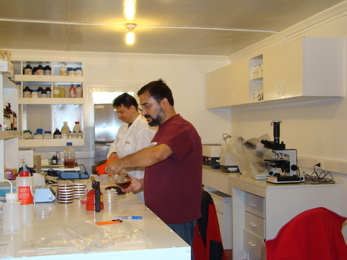 Gerardo González, en un laboratorio de la base. Foto: Gerardo González.