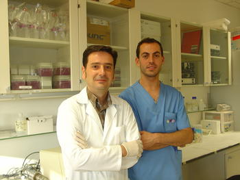 José Luis Mauriz (izq.), junto a Javier Martín Renedo en un laboratorio del Insituto de Biomedicina de la Universidad de León.