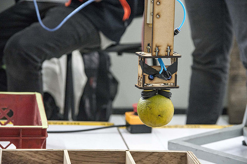 Un sistema robótico clasifica naranjas. Foto: UNAL.