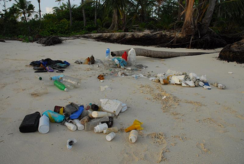 Playas contaminadas con plástico (FOTO: UCR).