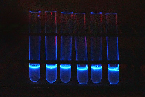 Gracias a la producción de luz (bioluminiscencia) en una bacteria se podrían detectar mejor las concentraciones de cepas de E. coli y Salmonella. Foto: Tom Campbell, Comunicaciones Agrícolas de la Universidad Purdue.