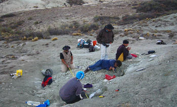 Paleontólogos argentinos hallan los restos de un dinosaurio (FOTO: UNPSJB).