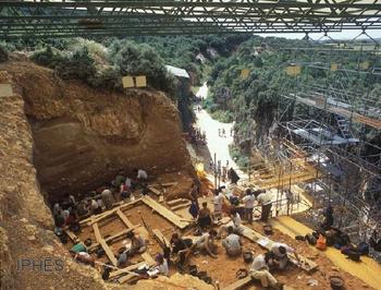 Excavaciones al nivel TD10 de Gran Dolina, en Atapuerca.