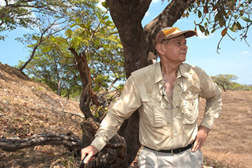 El arqueólogo Richard Cooke estudia el uso de los recursos naturales por los pueblos precolombinos.  Foto: STRI.