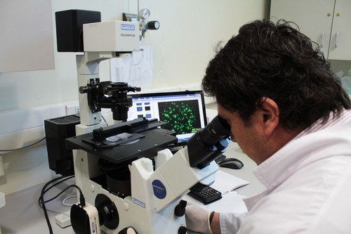 Patricio Villalobos, investigador asociado del Centro de Biotecnología “Dr. Daniel Alkalay Lowitt” de la Universidad Técnica Federico Santa María. FOTO: USM.