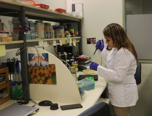 Daniela Rebolledo, investigadora del Centro de Excelencia en Biomedicina de Magallanes, Cebima, y de CARE Chile UC, trabaja en un test que permitirá medir la infección provocada por COVID-19 en las personas.
