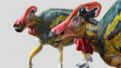 Reproducción del dinosaurio herbívoro descrito con una característica cresta alargada y grande.