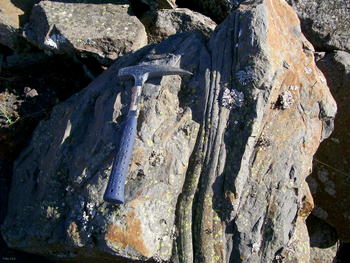 Fósil de un vegetal en la escombrera de una mina.