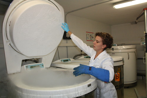 Tanques de nitrógeno líquido almacenan muestras del Banco Nacional de ADN.