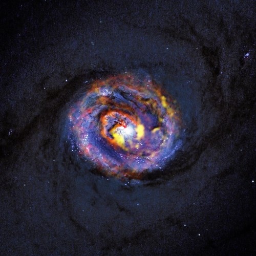 Composición de la galaxia NGC 1433 con imágenes de ALMA y Hubble. Crédito: ALMA (ESO/NAOJ/NRAO)/NASA/ESA/F. Combes.