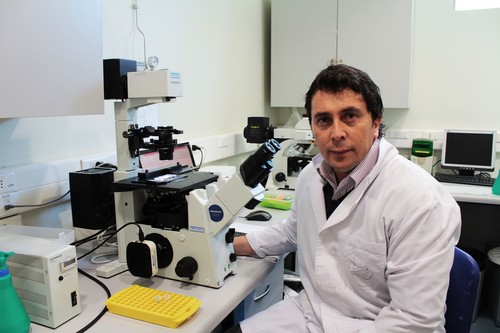 Patricio Villalobos, investigador asociado del Centro de Biotecnología “Dr. Daniel Alkalay Lowitt”. FOTO: USM.