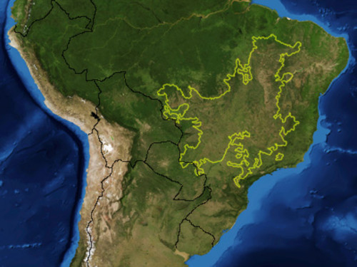 Mapa de la Ecorregión del Cerrado en Brasil. 