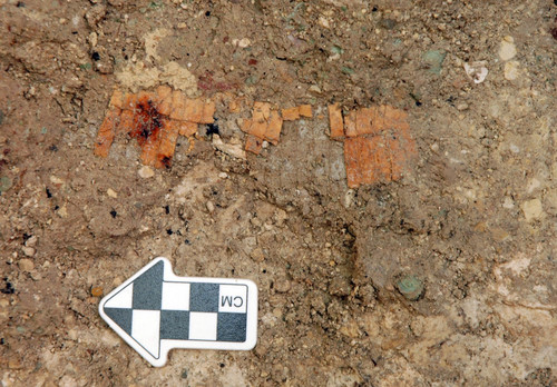 Este caparazón de armadillo increíblemente bien conservado tiene entre 2500 y 2700 años/Daniela Triadan