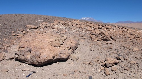 Rocas ignimbritas del desierto de Atacama. Foto: Jacek Wierzchos-MNCN.