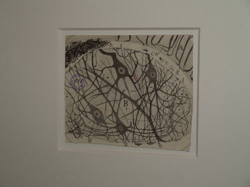 Detalle de la exposición de Ramón y Cajal.