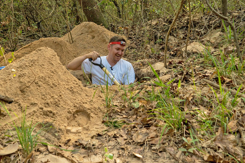 Scott Solomon explora una colonia de hormigas cortadoras de hojas/Brandon Martin /Rice University