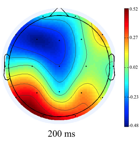 Activación occipital (área visual) a los 200 milisegundos del corte de plano. Imagen: UPO.