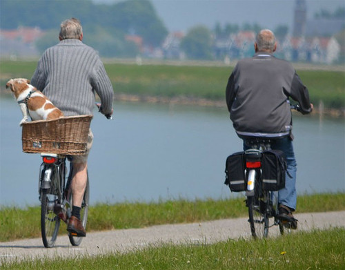 Personas mayores en bicicleta.