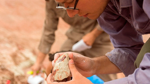 Matías Motta durante la excavación de los fósiles de Overoraptor/Julia S. D`Angelo.