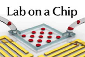 Portada de la revisra 'Lab on a chip' (FOTO: ITM).