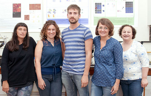 Karina Alleva, Lorena Sigaut, Agustín Yaneff, Gabriela Amodeo y Lía Pietrasanta en su laboratorio. Foto: CONICET Fotografía.