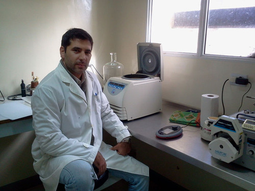 Francisco José Reynaldi, investigador del CONICET en la Universidad Nacional de La Plata, lideró el estudio que permitió identificar la fuente de contagio de tres virus que afectan a las abejas.  Créditos: Gentileza del Dr. Francisco José Reynaldi