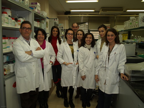 Investigadores del Laboratorio de Hepatología Experimental y Vectorización de Fármacos de la Universidad de Salamanca.