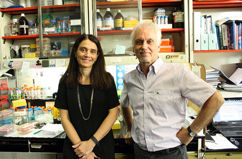 El doctor Osvaldo Podhajcer y la doctora Andrea Llera. FOTO: AGENCIA CYTA.