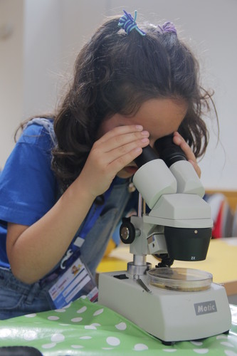 Una niña mira por un microscopio. Foto: UBU.