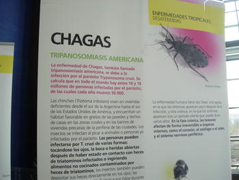 Uno de los paneles hace referencia al mal de Chagas.