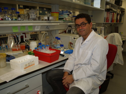 Sergio Moreno, director del IBFG, en el laboratorio.