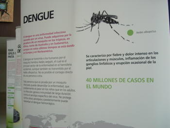 El Dengue también está presente en la exposición 'Enfermedades Tropicales Desatendidas'.