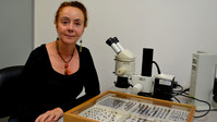 Professor Martha Isabel Wolf, current director of the UA Entomology Group (GEUA), a pioneer in the field of forensic entomology in Colombia. FOTO: UDEA.