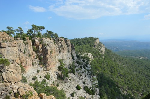 Bosque de pino laricio en la Sierra de Gúdar, en la provincia de Teruel/Gabriel Sangüesa