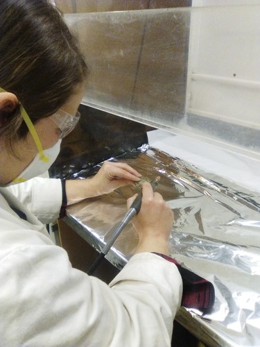 Marta Francés (UBU) procesando muestras para la extracción de residuos orgánicos en cerámicas de El Portalón de Cueva Mayor/ Marta Francés