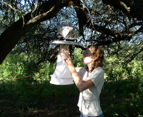 La doctora Raquel Gleiser revisando trampas de luz para capturar mosquitos con el propósito de probar los repelentes naturales.  Créditos: Gentileza de la Dra. Raquel Gleiser.