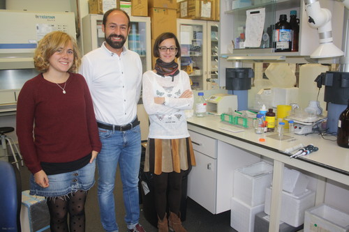 De izquierda a derecha, Inmaculada Sánchez, Óscar Lorenzo e Isabel Mateos, en el laboratorio.