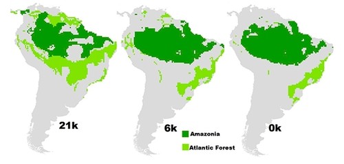 Comparativa de las condiciones existentes en la Amazonia y en el Bosque Atlántico hace miles de años/Sobral-Souza et al. 2018