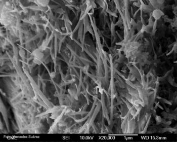 Imagen al microscopio de una muestra procedente de un yacimiento que contiene tanto sepiolita como palygorskita.