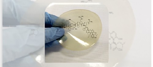 Película de fibroína con un péptido/Agencia Fapesp