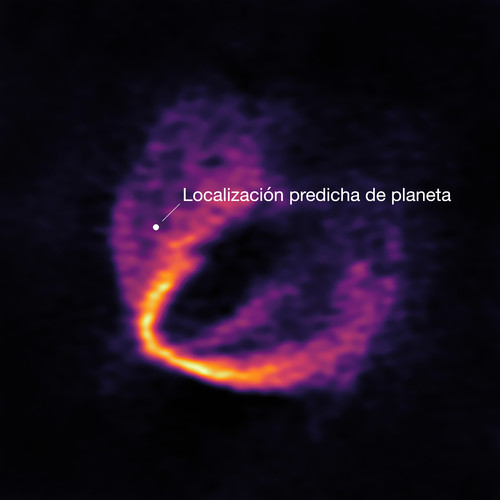 El lugar donde se predice la ubicación del planeta está marcado con un punto azul. Crédito: ESO, ALMA (ESO/NAOJ/NRAO); Pinte et al.