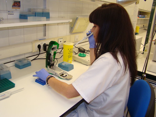 Una de las investigadoras del Grupo de Investigación Biomédica en Cuidados Críticos (BioCritic) trabajando en el laboratorio.