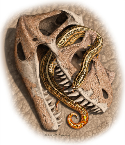 Paleorreconstrucción de Diablophis gilmorei, una serpiente del Jurásico al Cretácico Inferior. / Julius Csotonyi