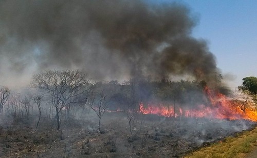 Incendio en el Cerrado brasileño.