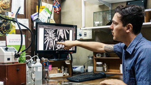 Ivan Magalhaes señala las reconstrucciones 3D del fósil Drymusa aculicaput. Foto: CONICET Fotografía/ Verónica Tello.