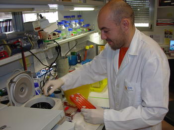 Alberto Valbuena, científico del Centro de Investigación del Cáncer de Salamanca, en el laboratorio.